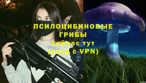 не бодяженный Михайлов