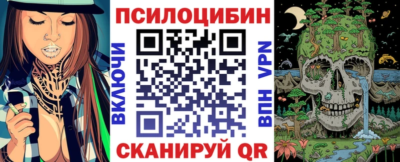 Купить где  Маркс  Галлюциногенные грибы Cubensis 